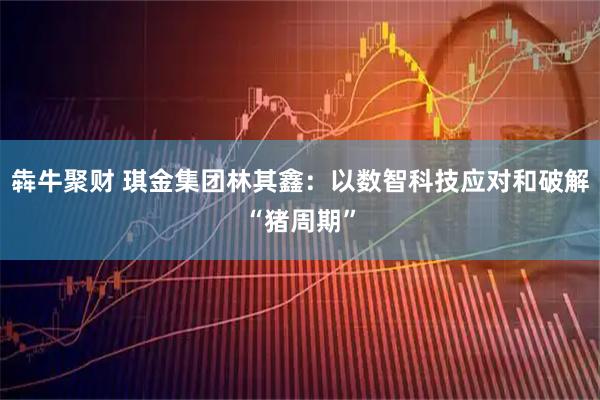 犇牛聚财 琪金集团林其鑫：以数智科技应对和破解“猪周期”