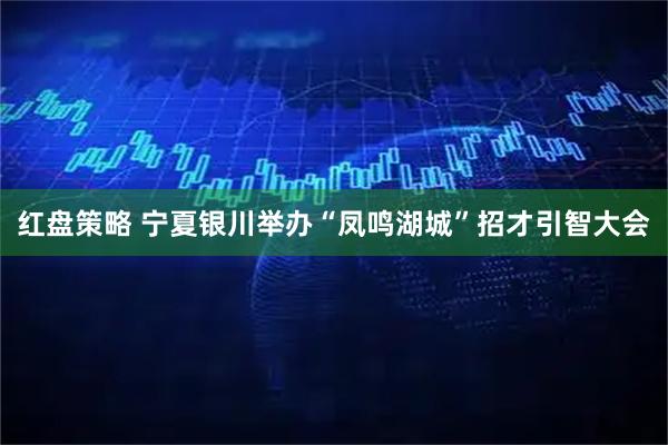 红盘策略 宁夏银川举办“凤鸣湖城”招才引智大会