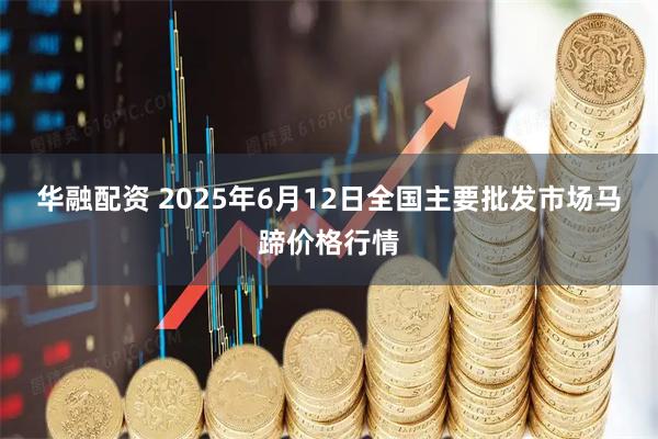华融配资 2025年6月12日全国主要批发市场马蹄价格行情